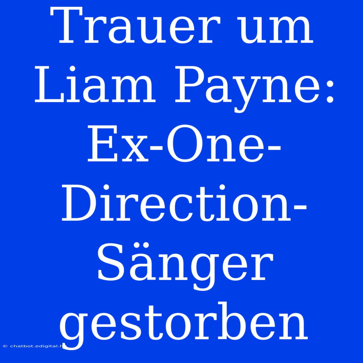 Trauer Um Liam Payne: Ex-One-Direction-Sänger Gestorben