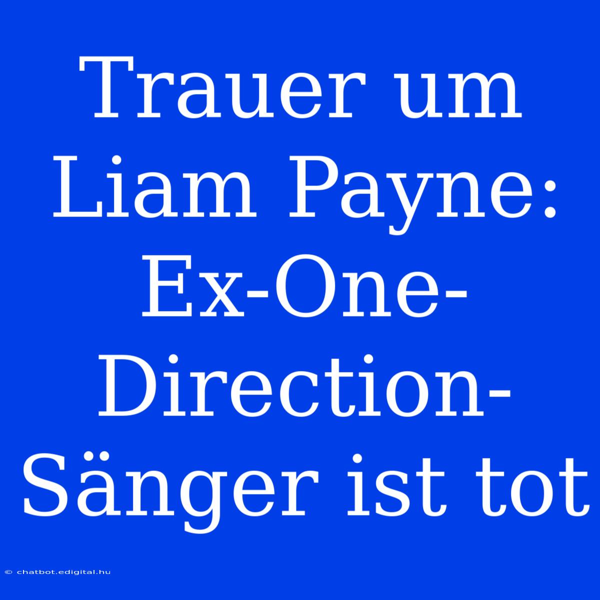 Trauer Um Liam Payne: Ex-One-Direction-Sänger Ist Tot