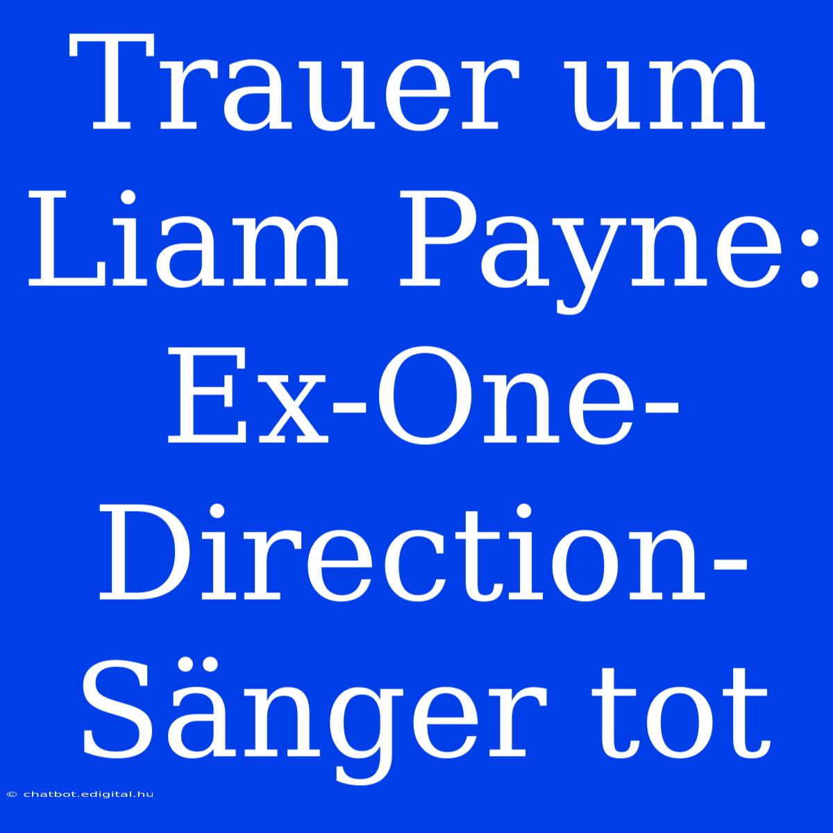 Trauer Um Liam Payne: Ex-One-Direction-Sänger Tot