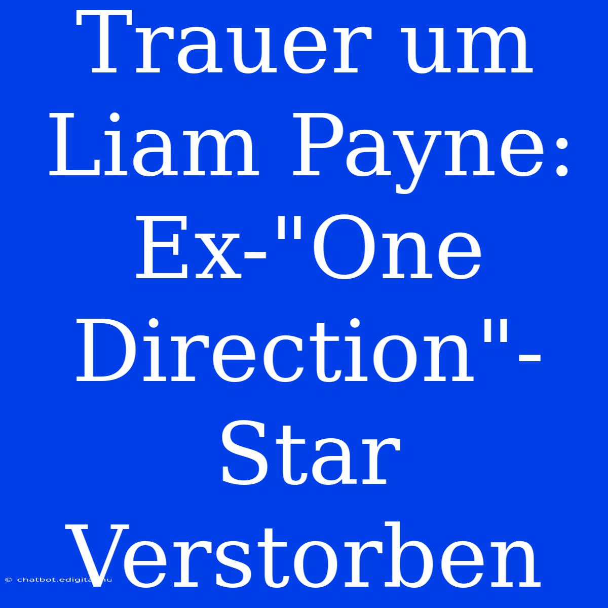 Trauer Um Liam Payne: Ex-