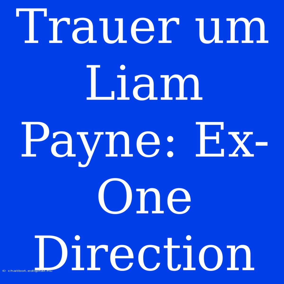 Trauer Um Liam Payne: Ex-One Direction