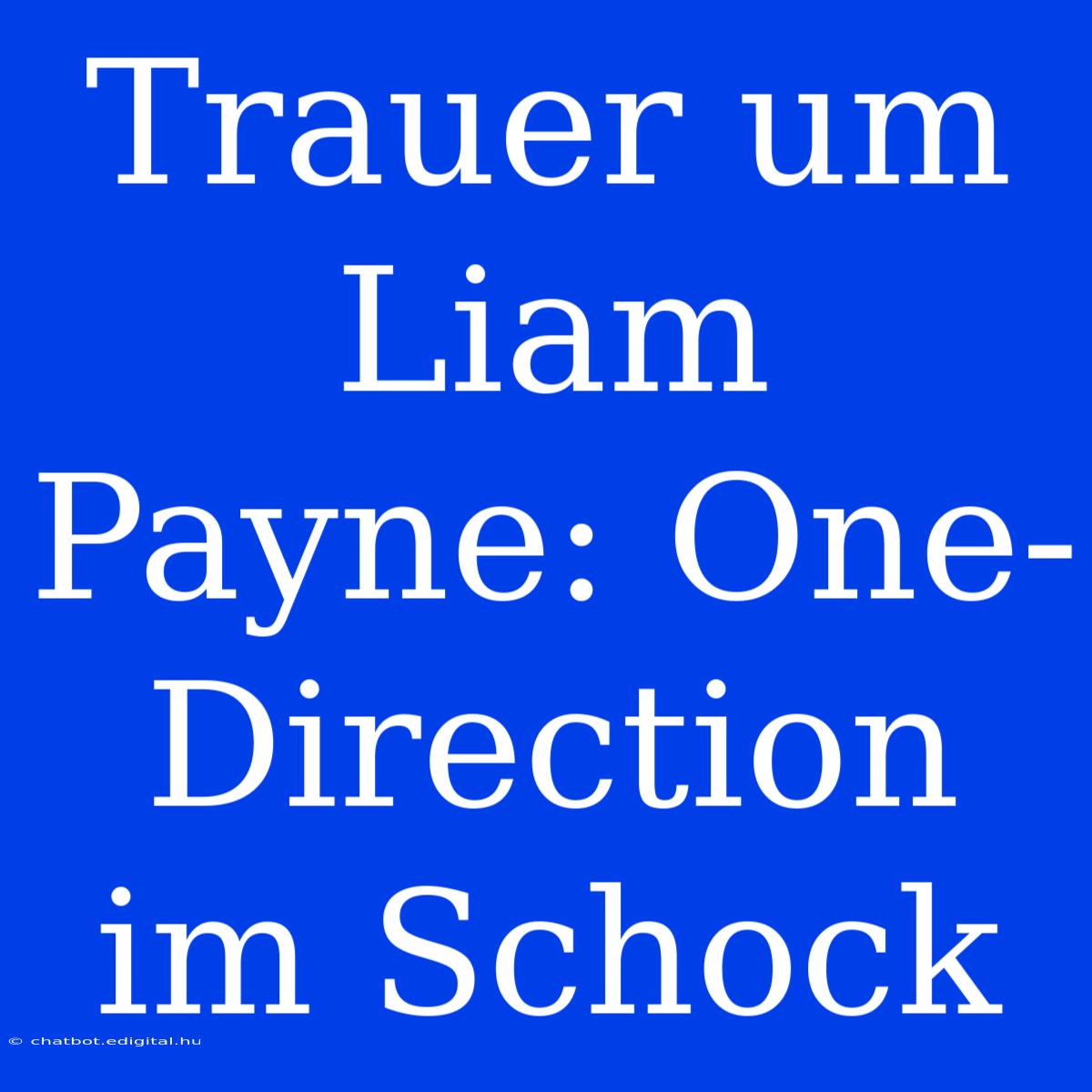 Trauer Um Liam Payne: One-Direction Im Schock