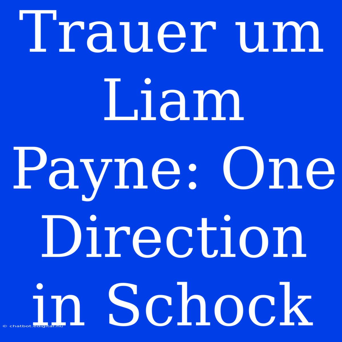 Trauer Um Liam Payne: One Direction In Schock