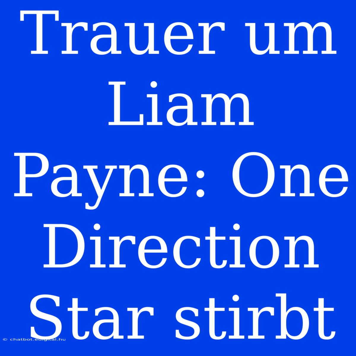 Trauer Um Liam Payne: One Direction Star Stirbt 