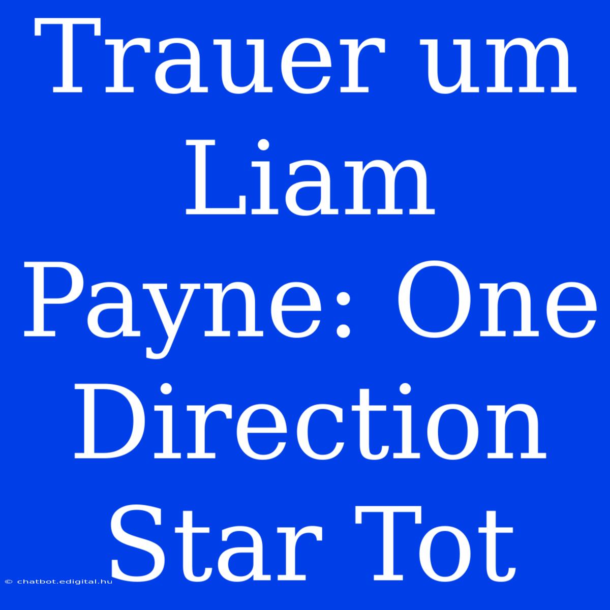 Trauer Um Liam Payne: One Direction Star Tot