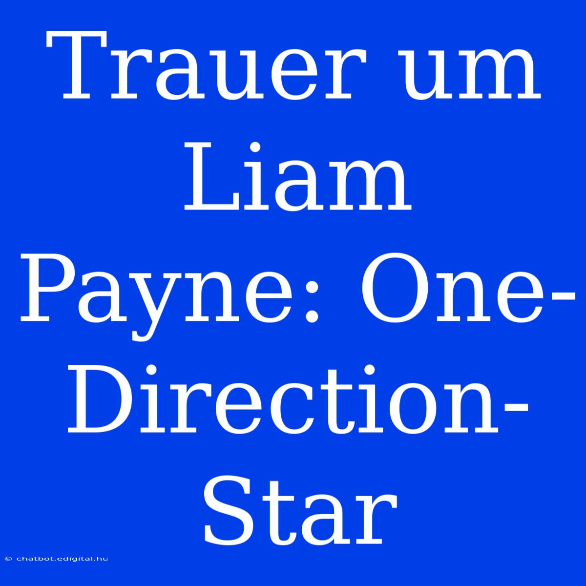 Trauer Um Liam Payne: One-Direction-Star