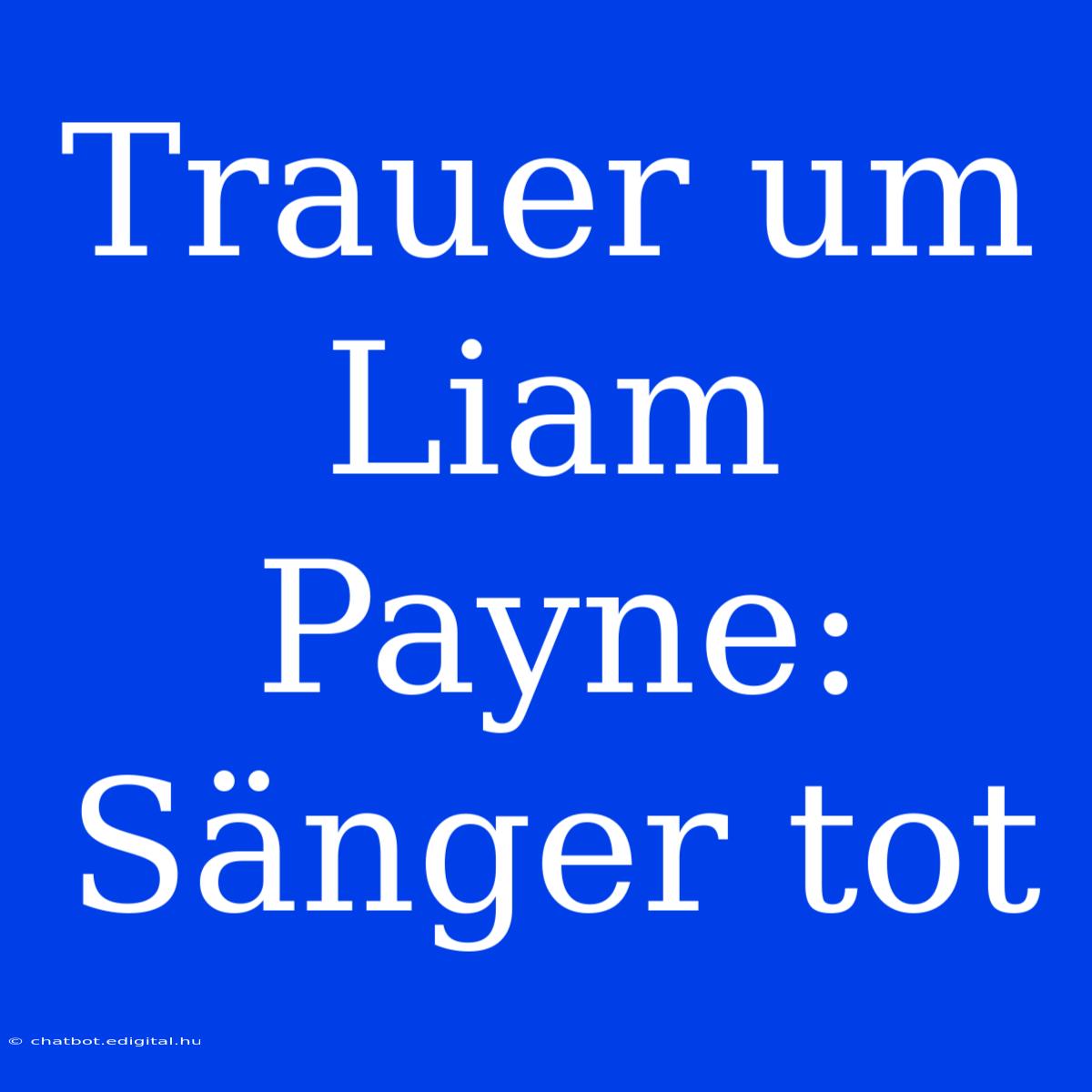 Trauer Um Liam Payne: Sänger Tot