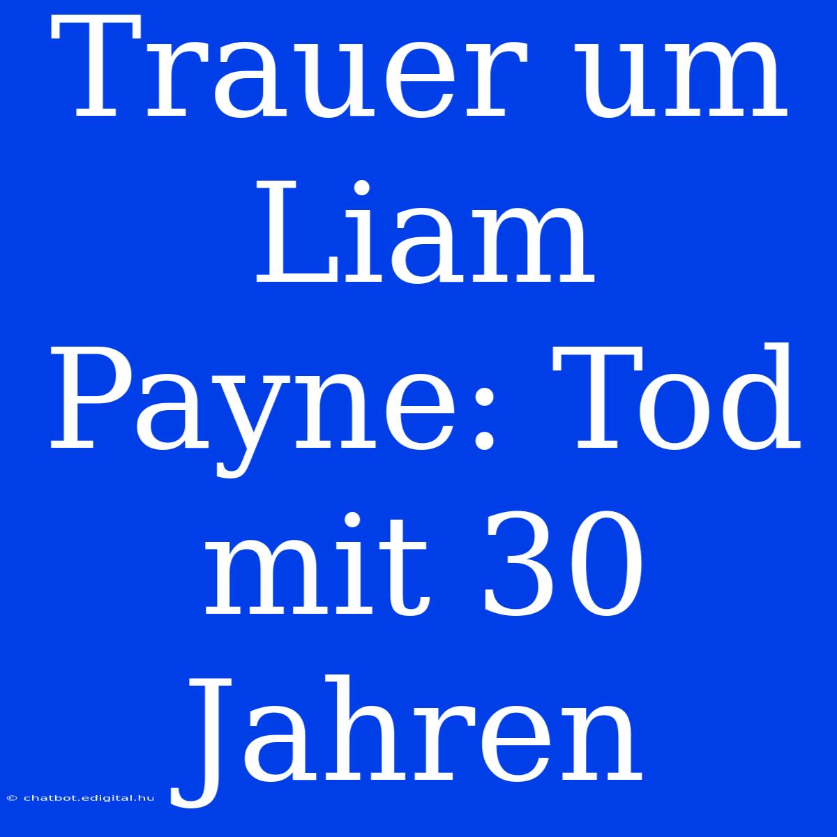 Trauer Um Liam Payne: Tod Mit 30 Jahren 