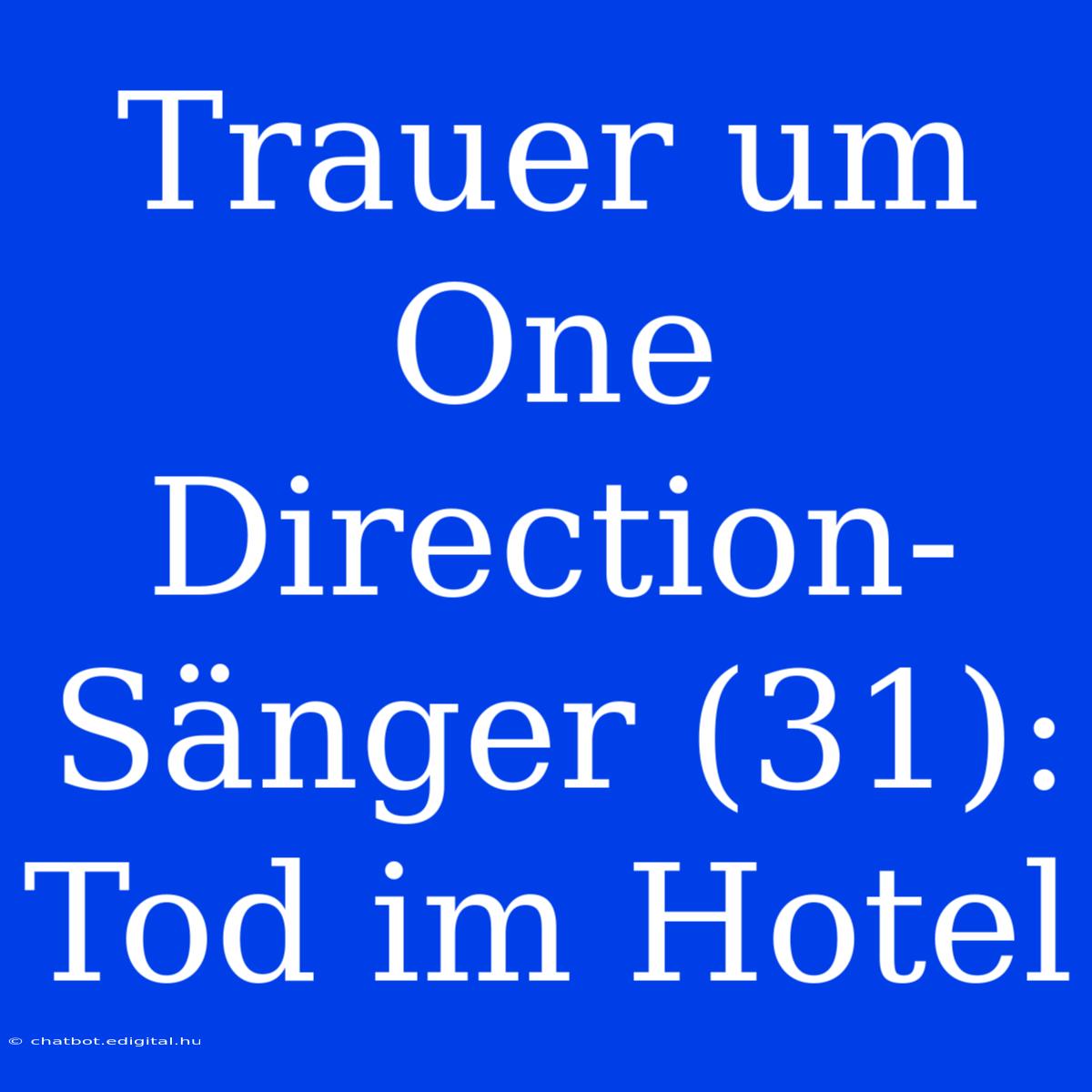 Trauer Um One Direction-Sänger (31): Tod Im Hotel