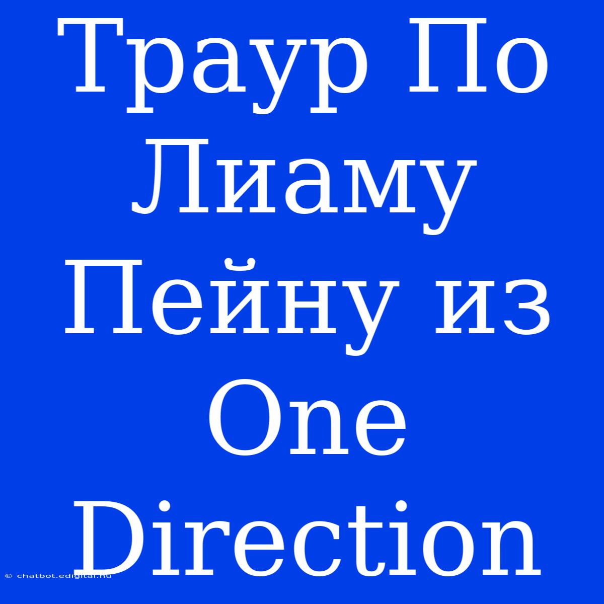 Траур По Лиаму Пейну Из One Direction 