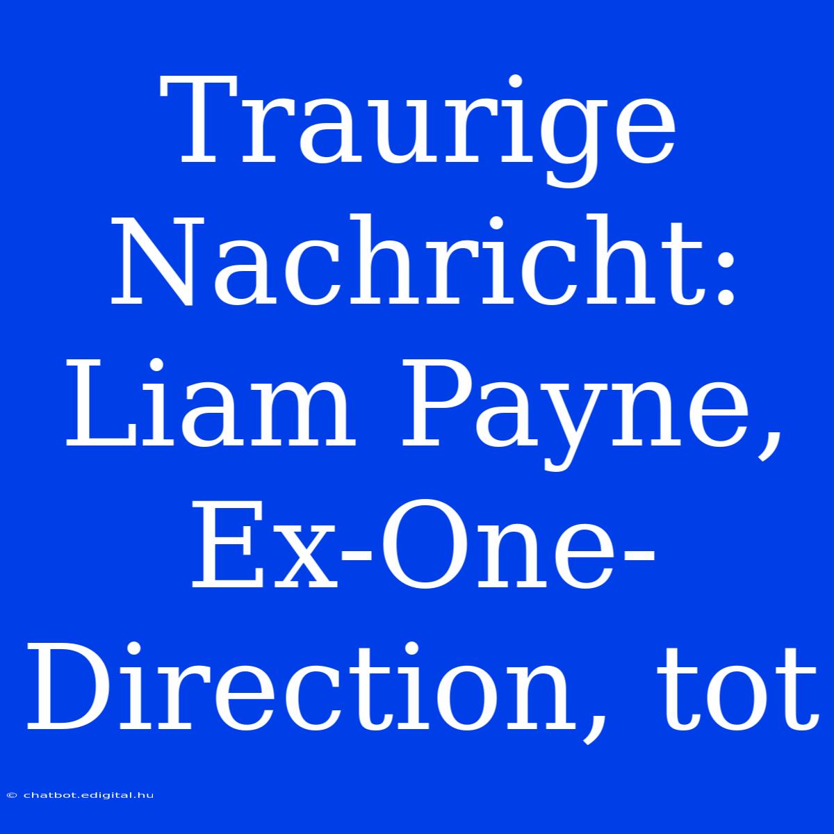 Traurige Nachricht: Liam Payne, Ex-One-Direction, Tot