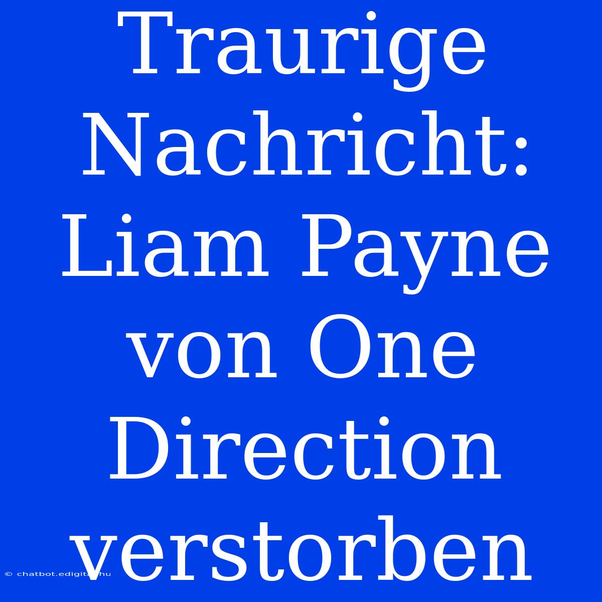 Traurige Nachricht: Liam Payne Von One Direction Verstorben