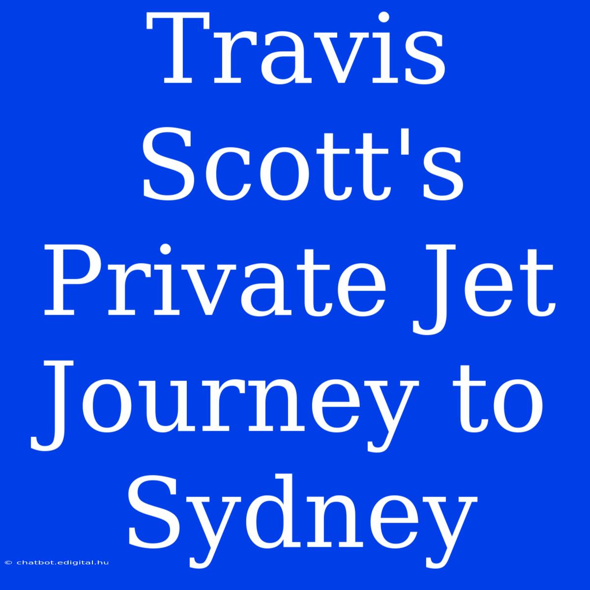 Travis Scott's Private Jet Journey To Sydney 