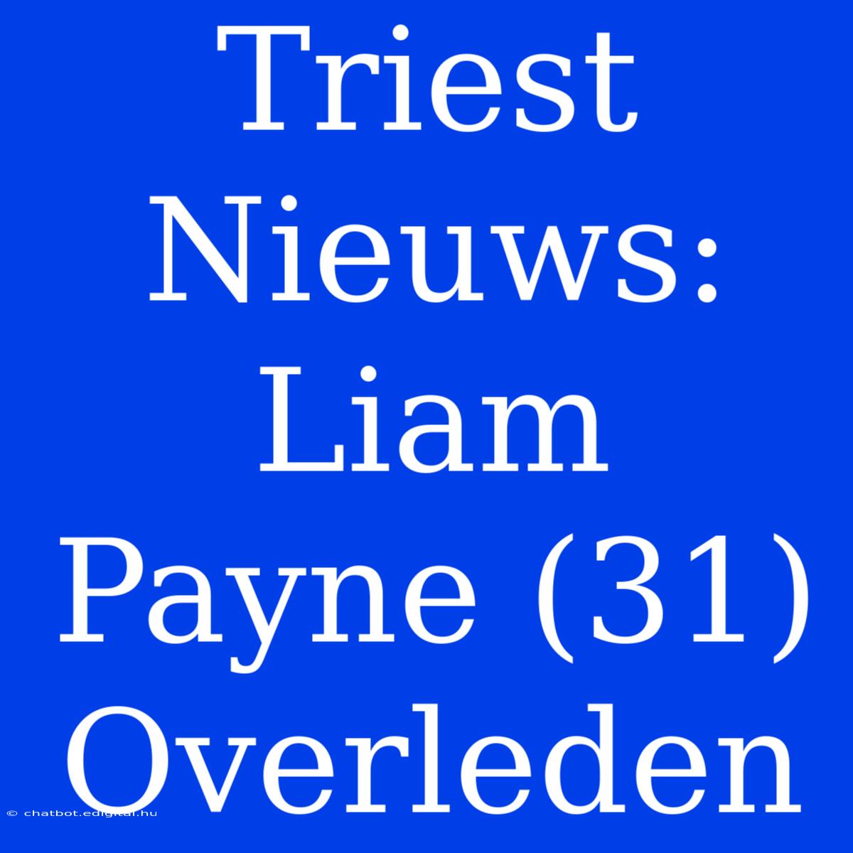 Triest Nieuws: Liam Payne (31) Overleden 