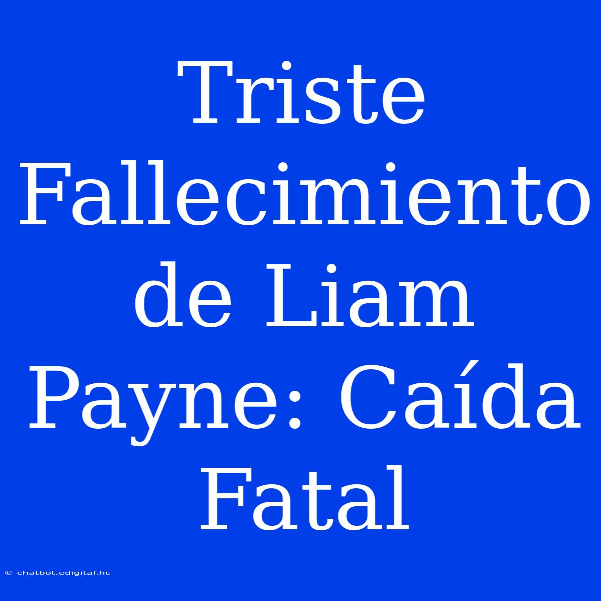 Triste Fallecimiento De Liam Payne: Caída Fatal