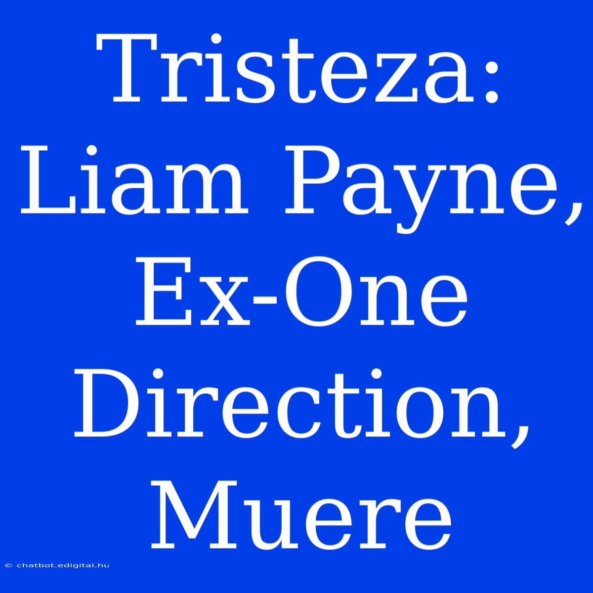 Tristeza: Liam Payne, Ex-One Direction, Muere 