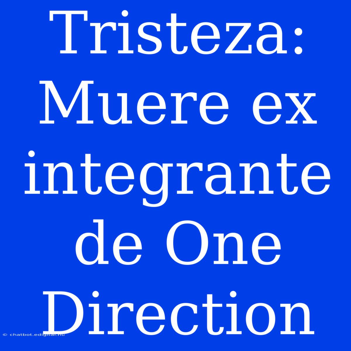 Tristeza: Muere Ex Integrante De One Direction