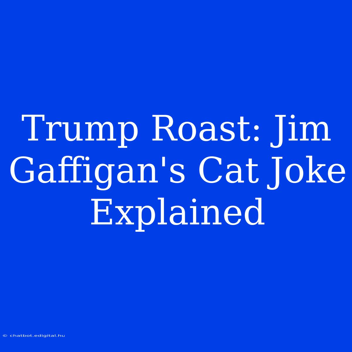 Trump Roast: Jim Gaffigan's Cat Joke Explained