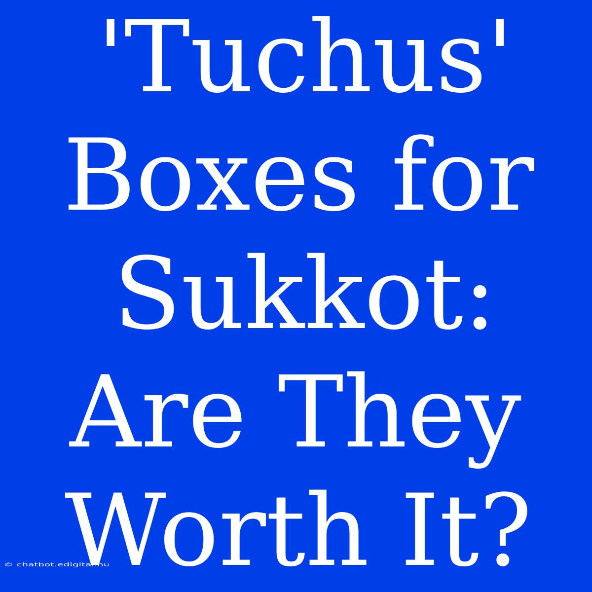 'Tuchus' Boxes For Sukkot: Are They Worth It?