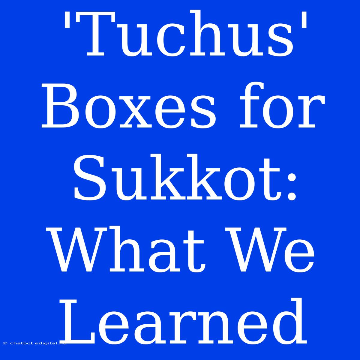 'Tuchus' Boxes For Sukkot: What We Learned