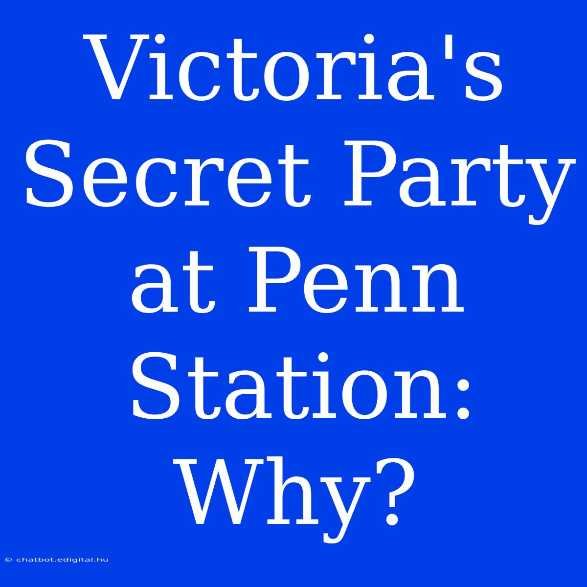 Victoria's Secret Party At Penn Station: Why?