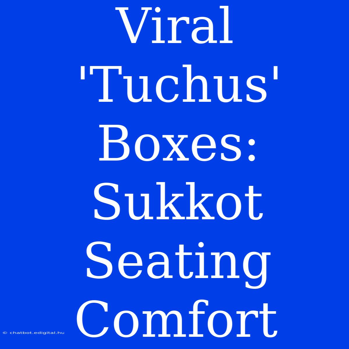 Viral 'Tuchus' Boxes: Sukkot Seating Comfort