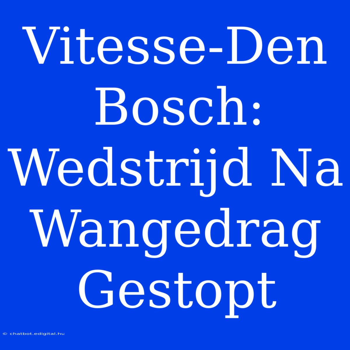 Vitesse-Den Bosch: Wedstrijd Na Wangedrag Gestopt