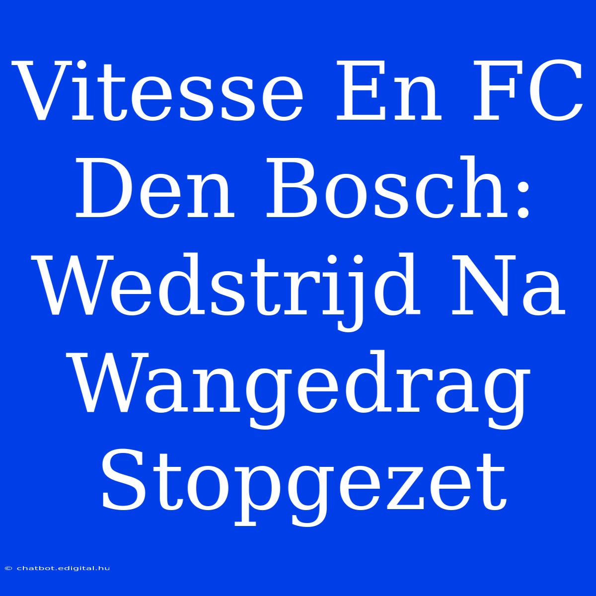 Vitesse En FC Den Bosch: Wedstrijd Na Wangedrag Stopgezet