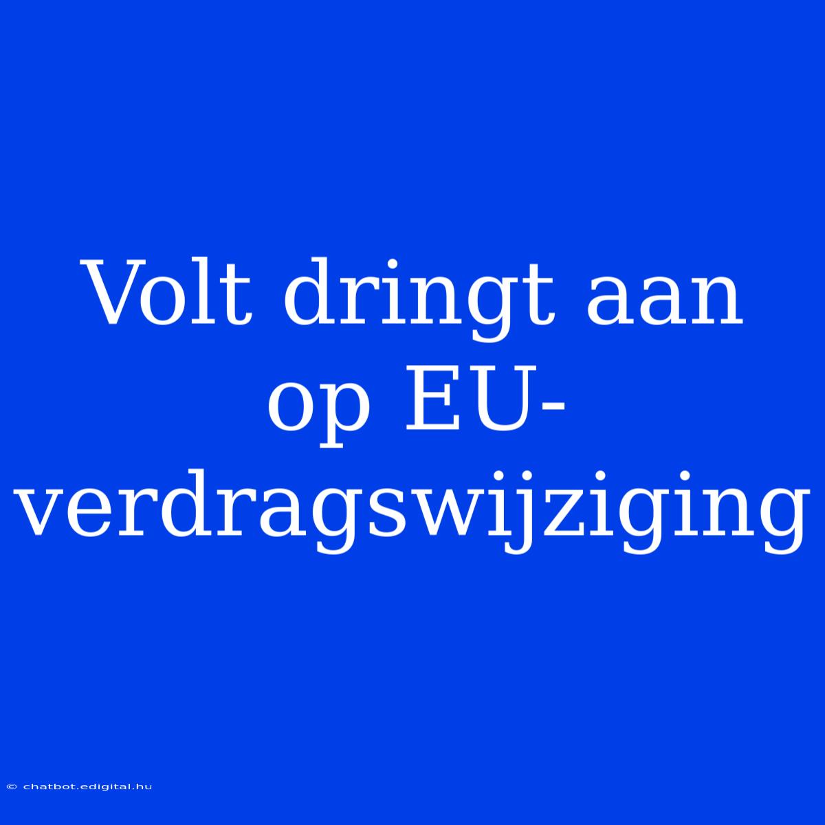 Volt Dringt Aan Op EU-verdragswijziging