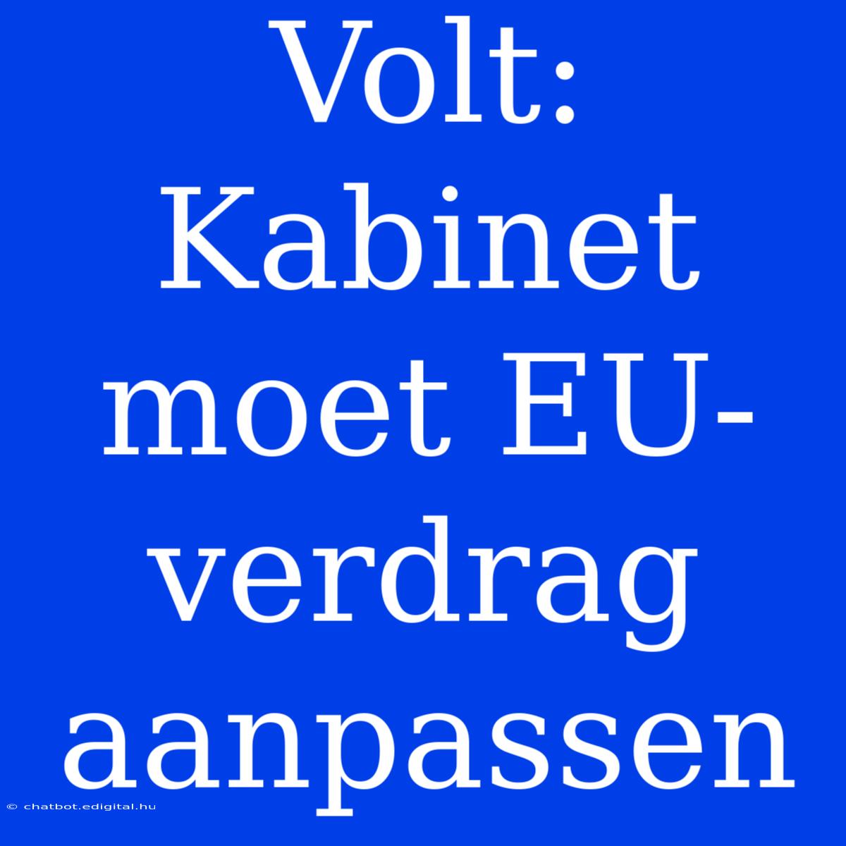 Volt: Kabinet Moet EU-verdrag Aanpassen