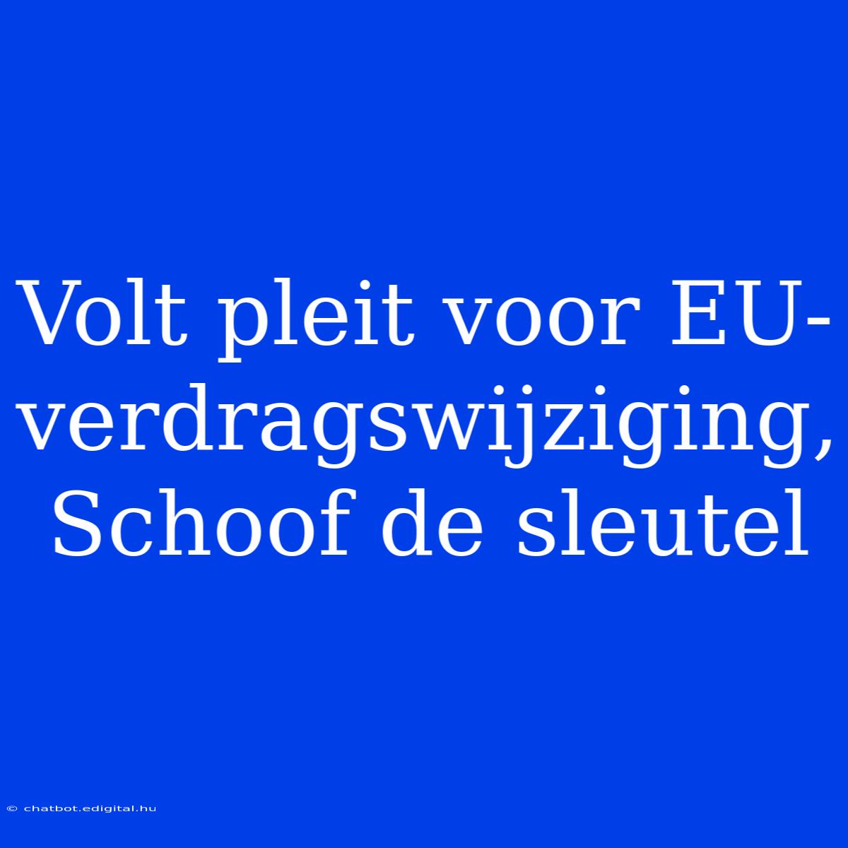 Volt Pleit Voor EU-verdragswijziging, Schoof De Sleutel