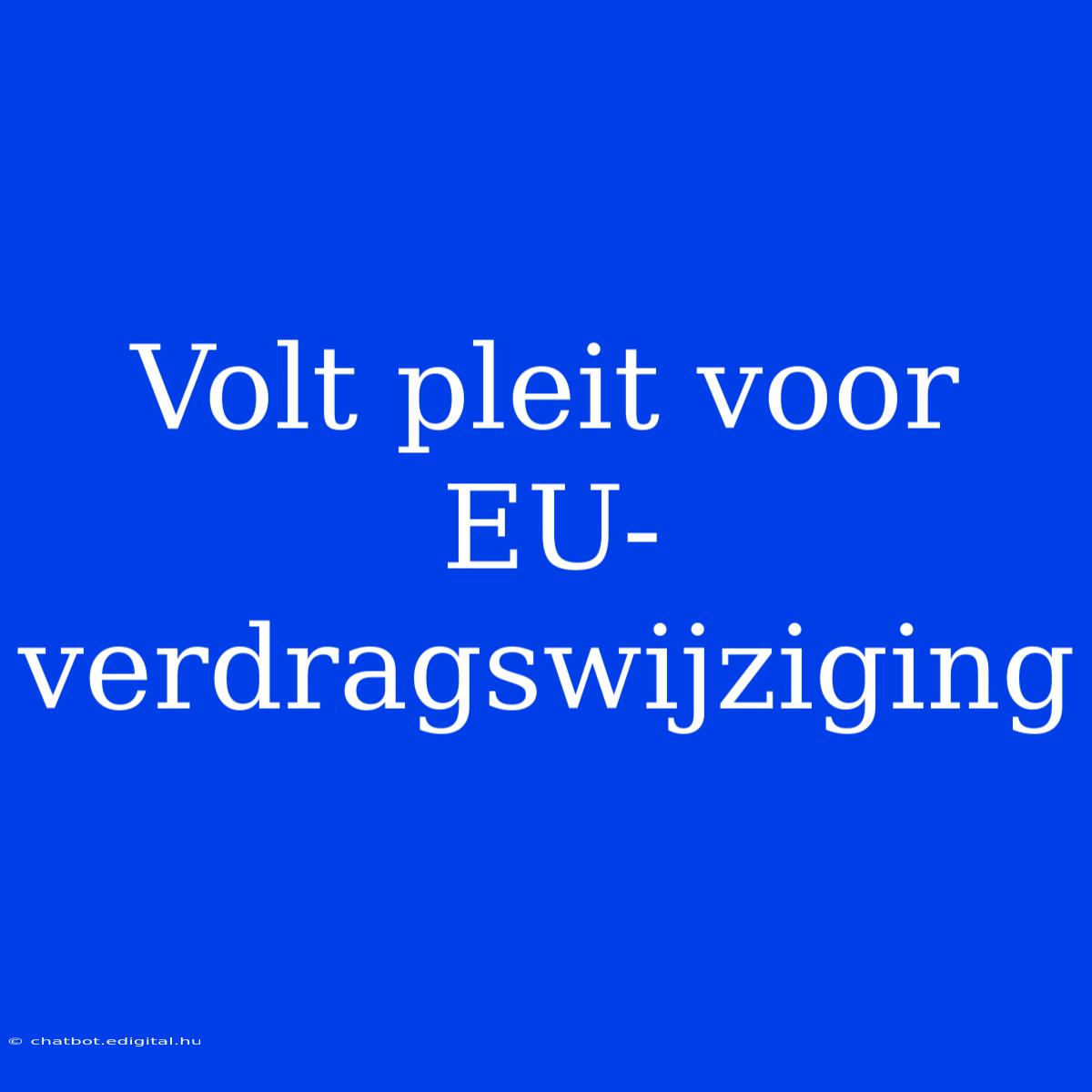 Volt Pleit Voor EU-verdragswijziging