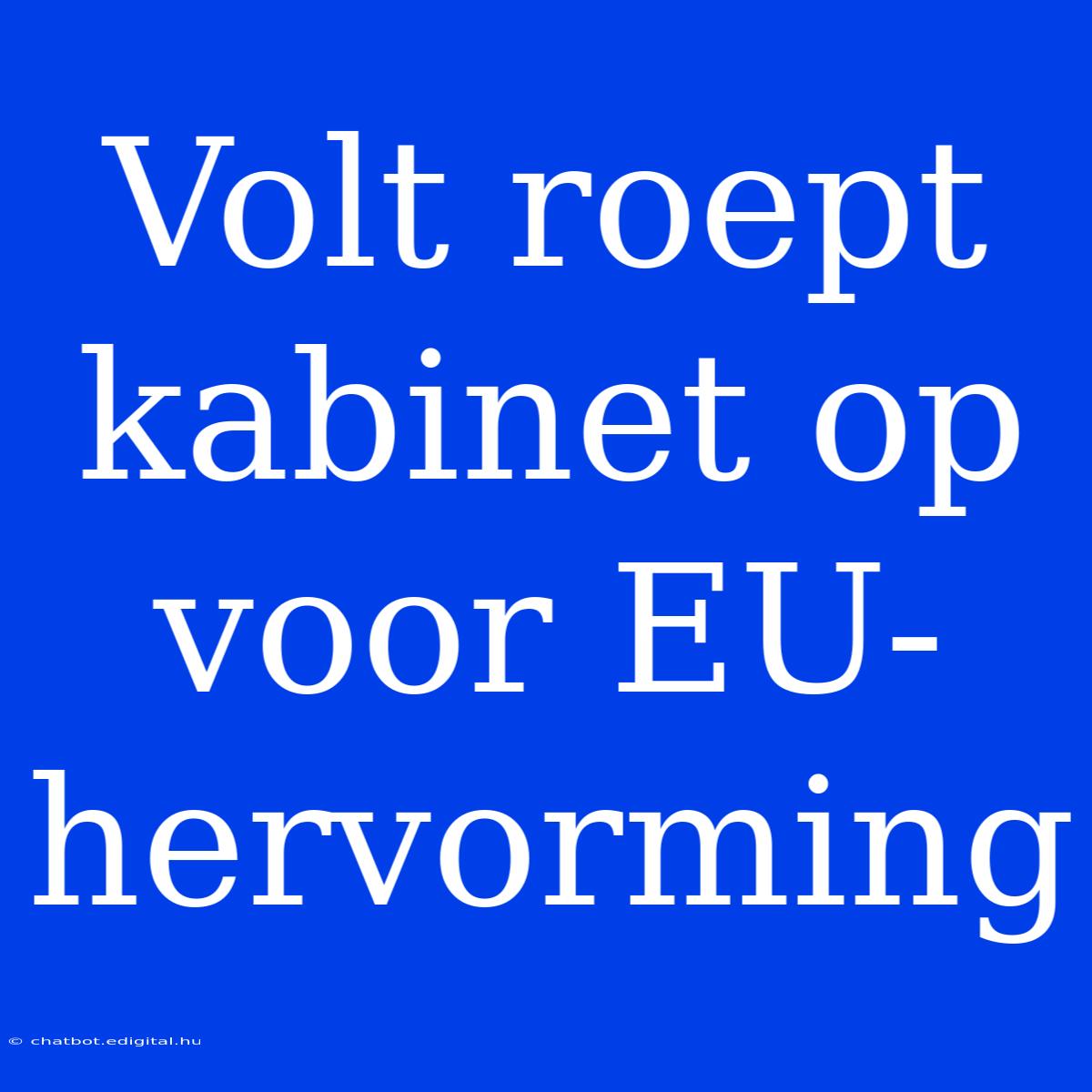 Volt Roept Kabinet Op Voor EU-hervorming