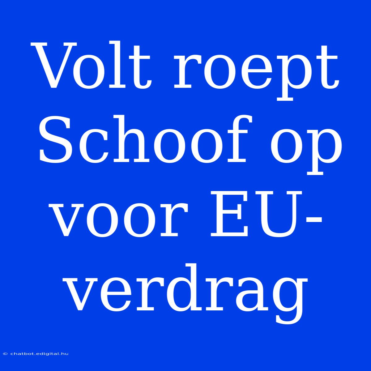 Volt Roept Schoof Op Voor EU-verdrag