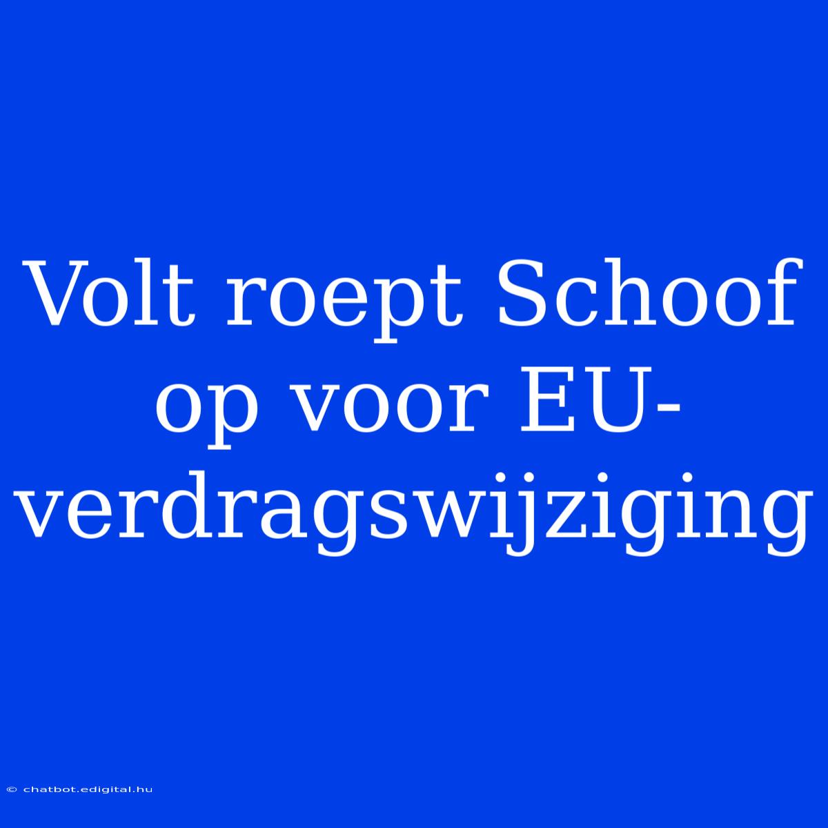 Volt Roept Schoof Op Voor EU-verdragswijziging