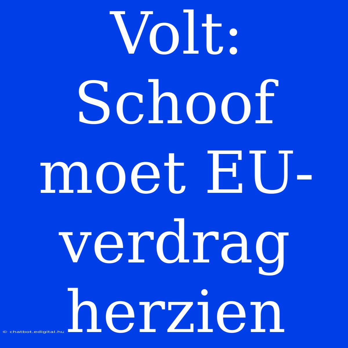 Volt: Schoof Moet EU-verdrag Herzien