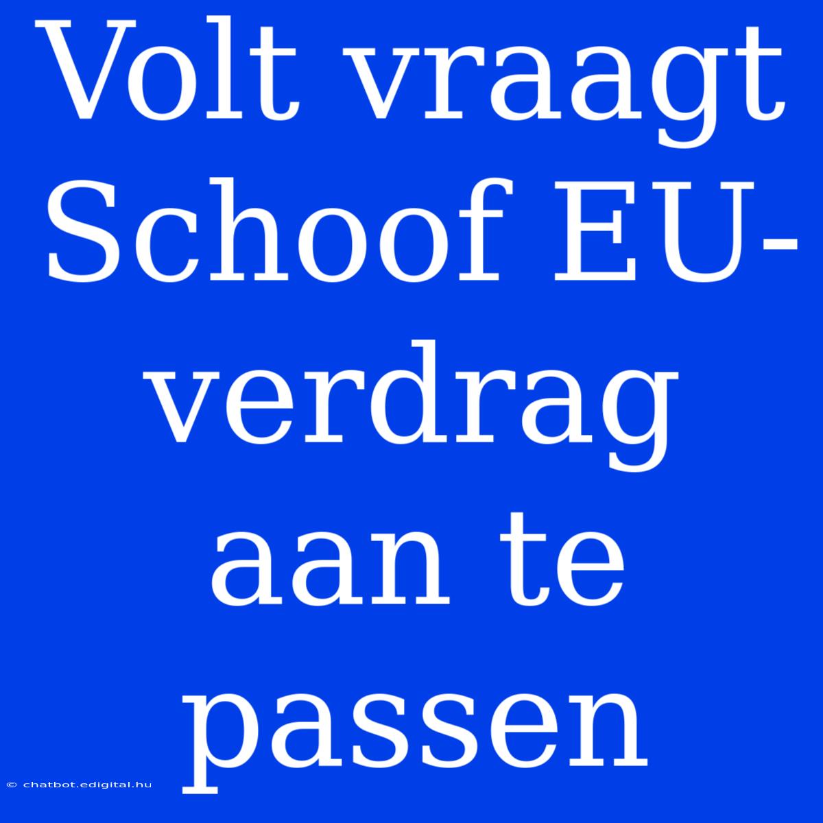 Volt Vraagt Schoof EU-verdrag Aan Te Passen