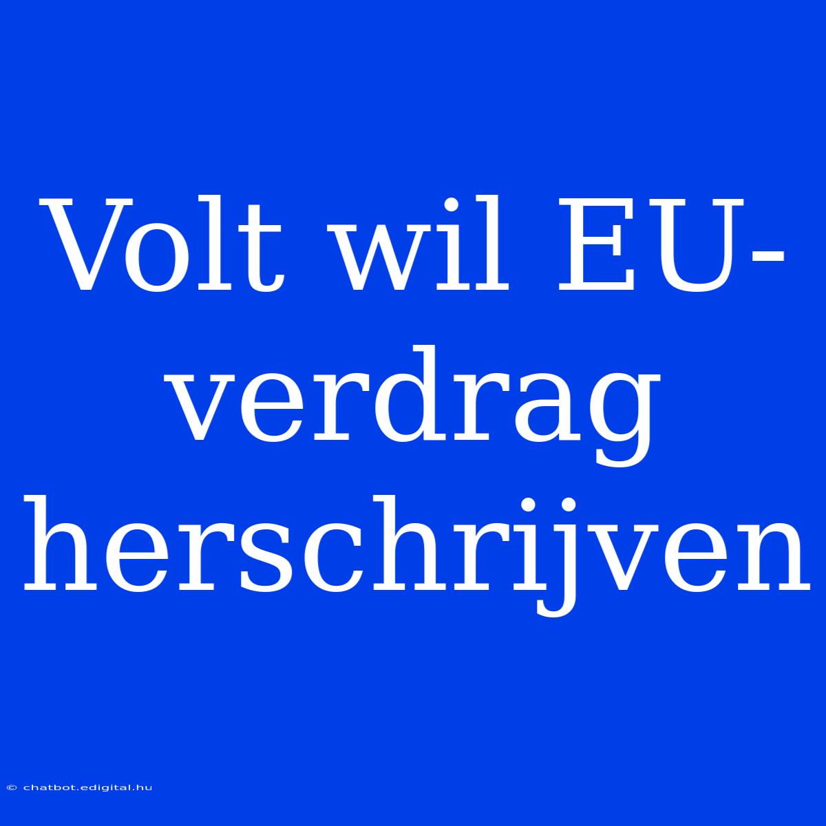 Volt Wil EU-verdrag Herschrijven