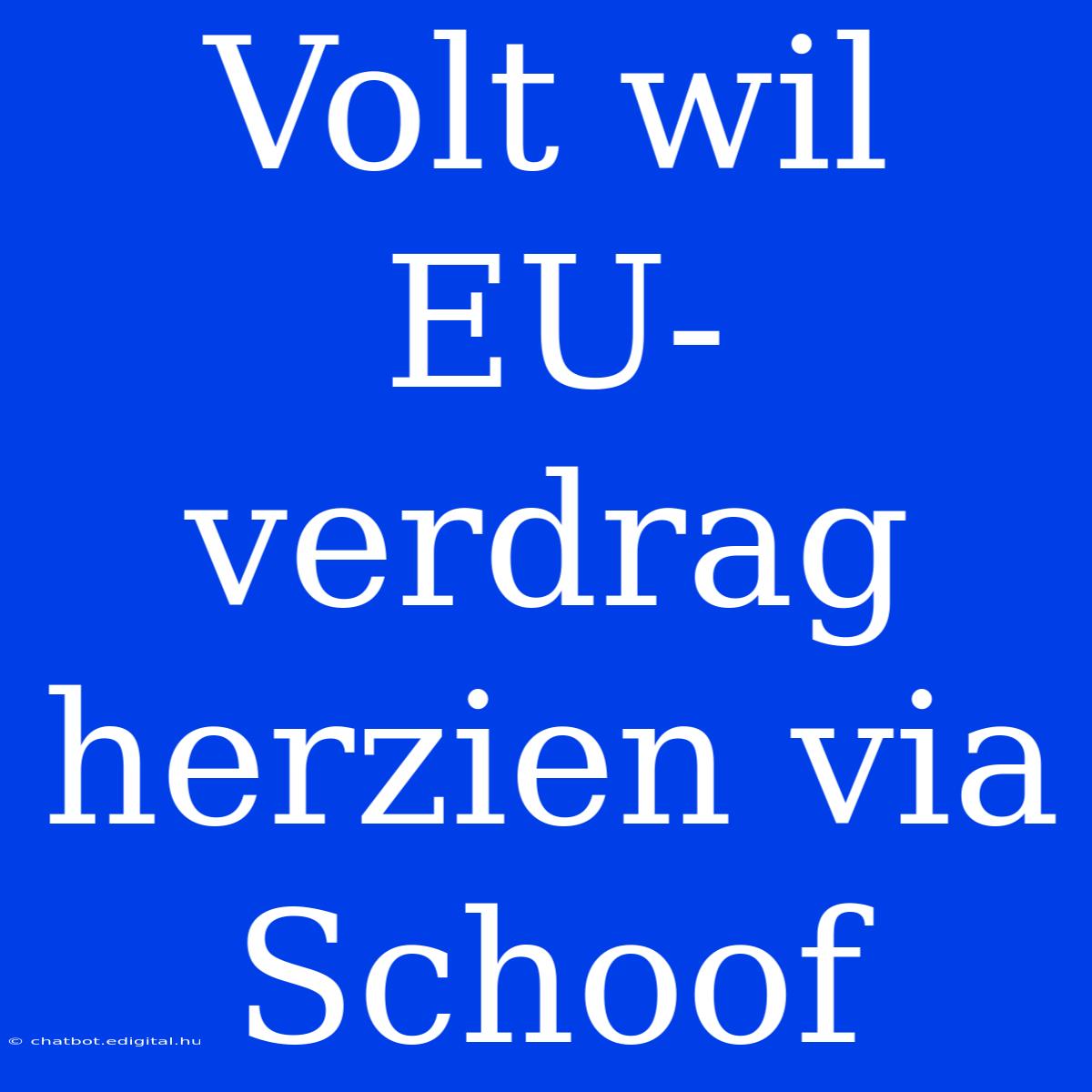 Volt Wil EU-verdrag Herzien Via Schoof