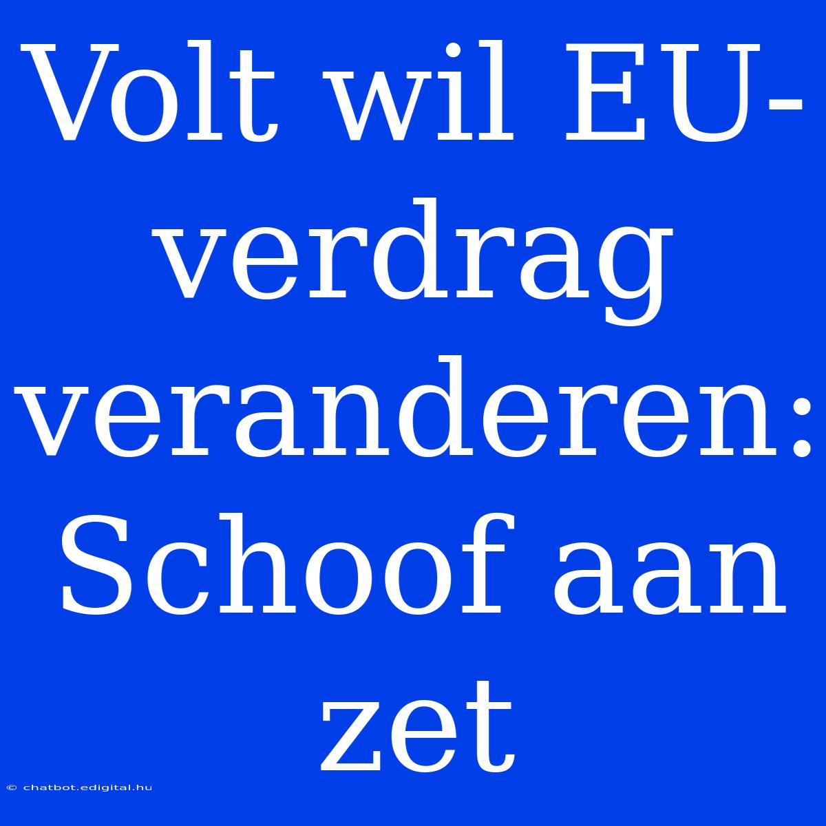 Volt Wil EU-verdrag Veranderen: Schoof Aan Zet