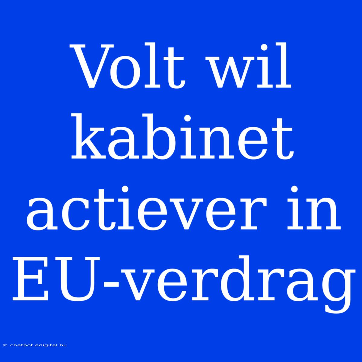 Volt Wil Kabinet Actiever In EU-verdrag