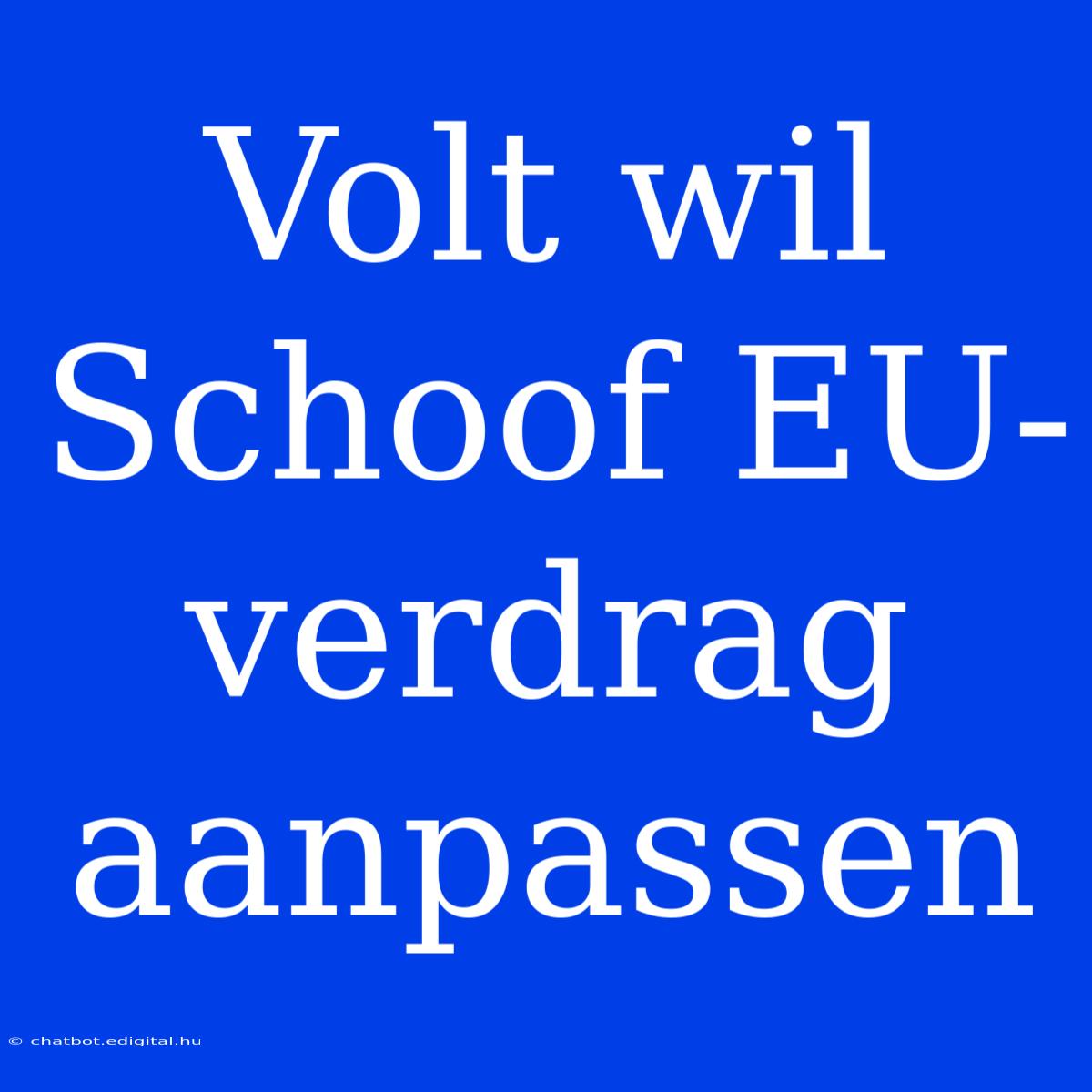 Volt Wil Schoof EU-verdrag Aanpassen