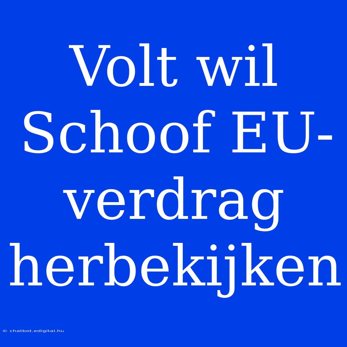 Volt Wil Schoof EU-verdrag Herbekijken