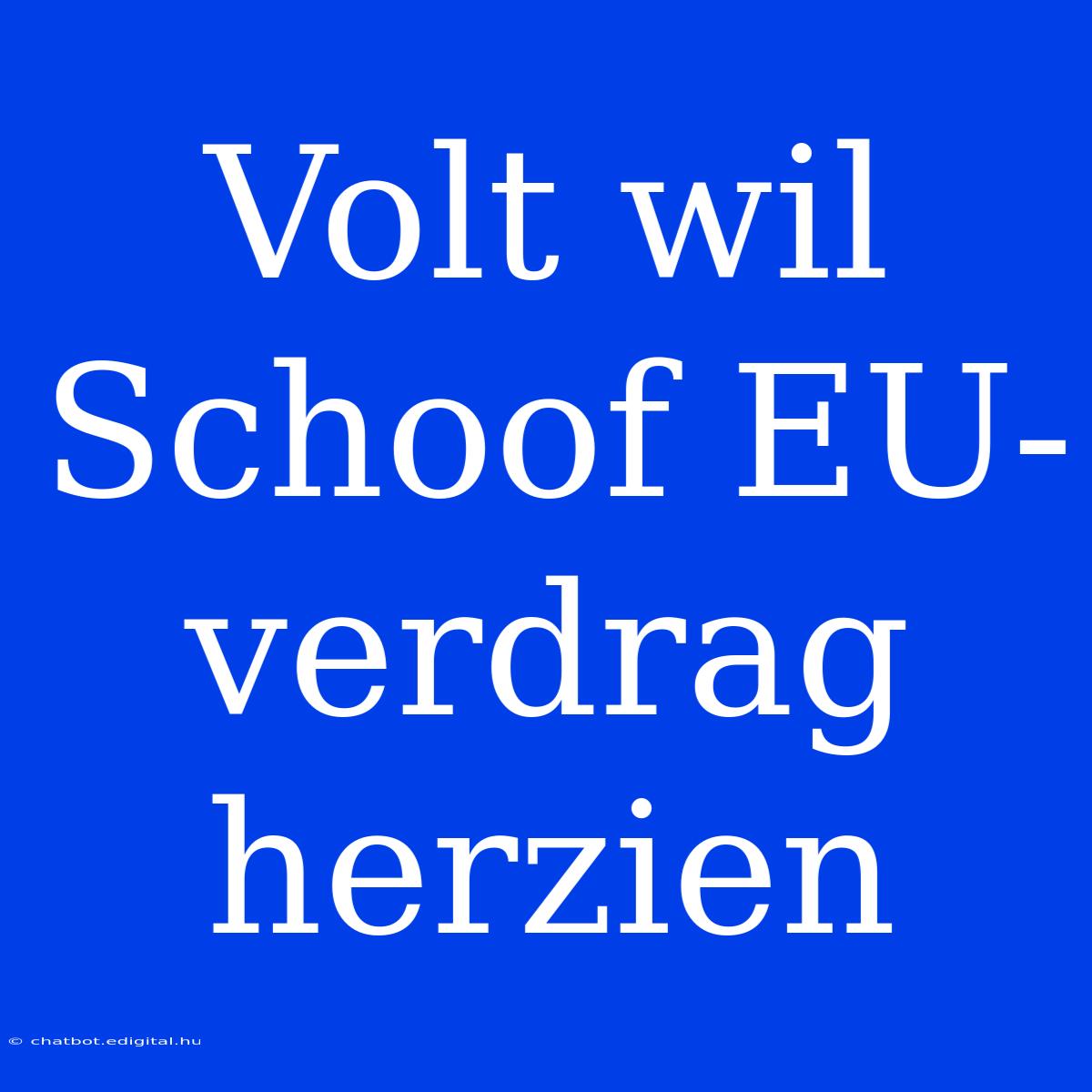 Volt Wil Schoof EU-verdrag Herzien