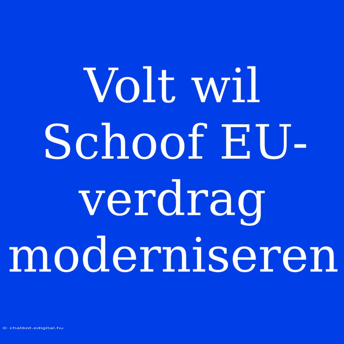 Volt Wil Schoof EU-verdrag Moderniseren