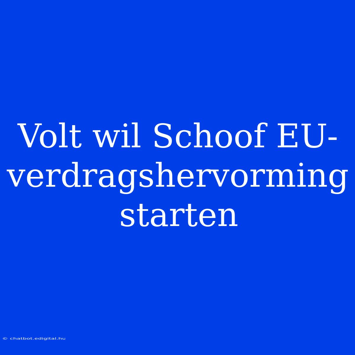 Volt Wil Schoof EU-verdragshervorming Starten