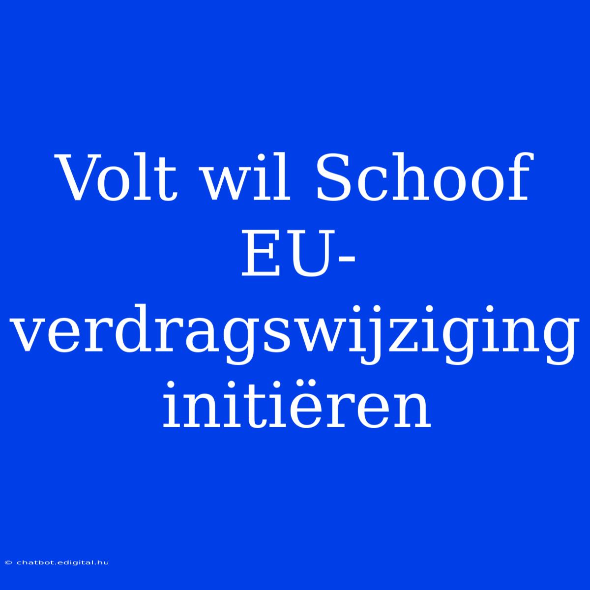 Volt Wil Schoof EU-verdragswijziging Initiëren