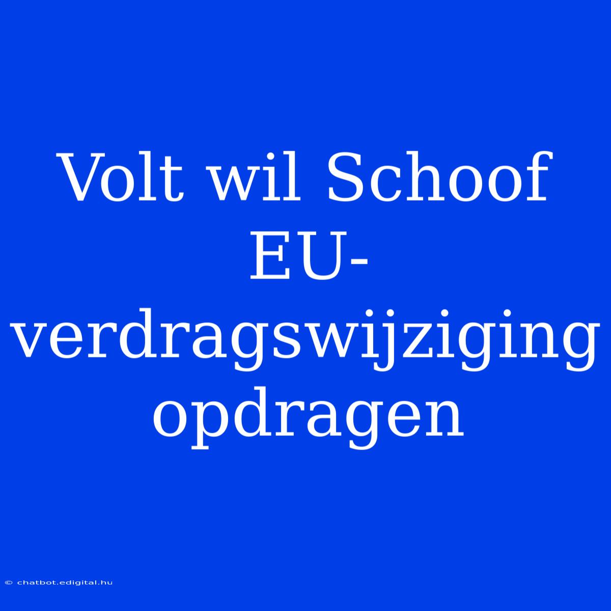 Volt Wil Schoof EU-verdragswijziging Opdragen