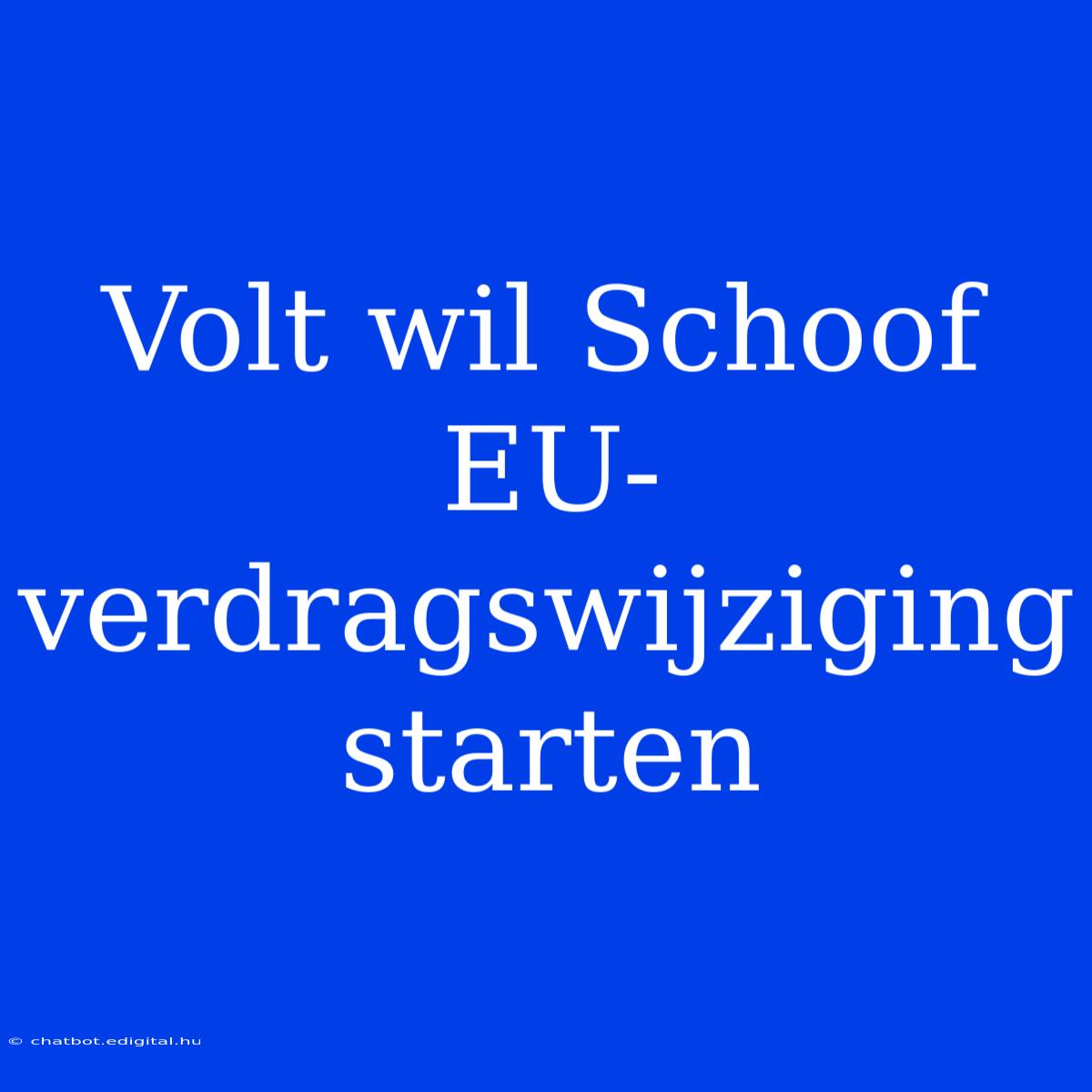 Volt Wil Schoof EU-verdragswijziging Starten