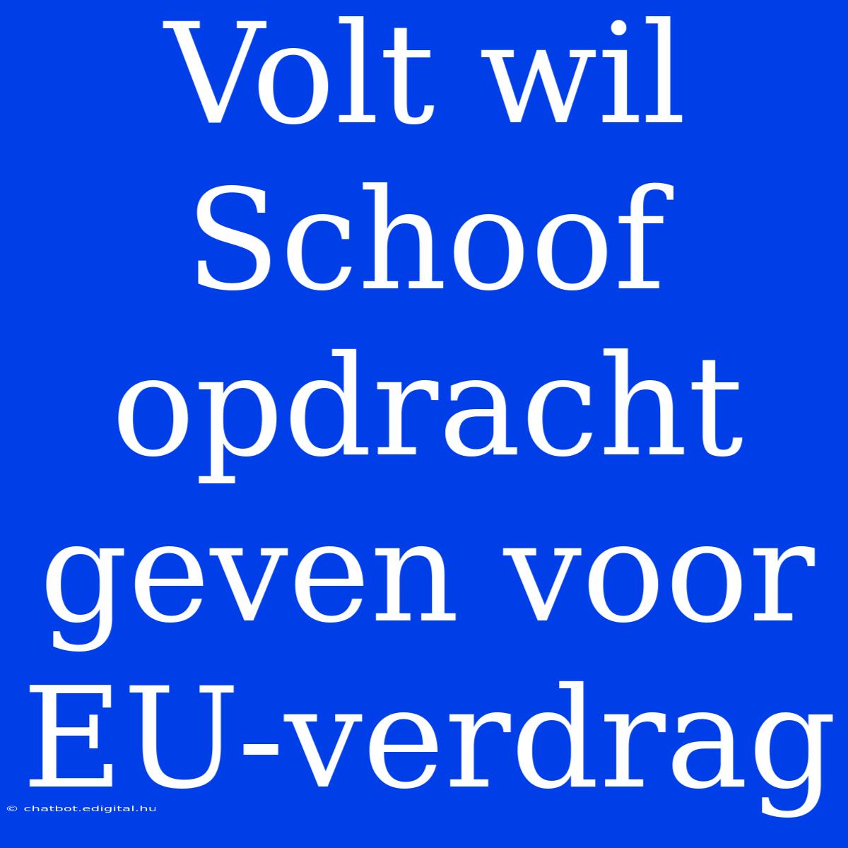 Volt Wil Schoof Opdracht Geven Voor EU-verdrag